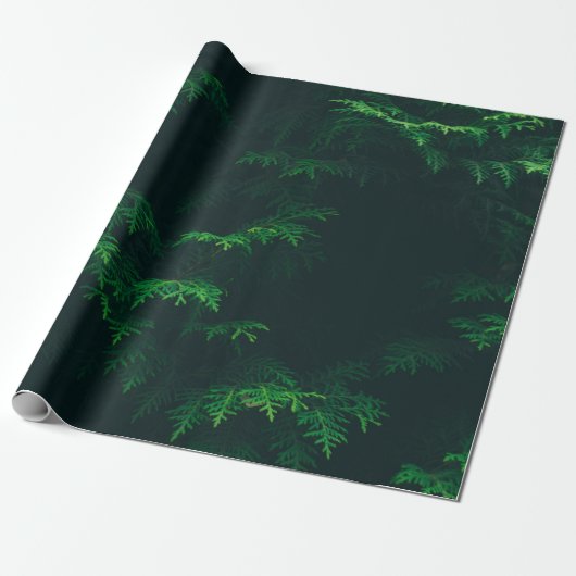 Evergreen tree wrapting paper cadeaupapier (Uitgerold)