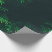 Evergreen tree wrapting paper cadeaupapier (Hoek)