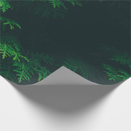 Evergreen tree wrapting paper cadeaupapier (Hoek)