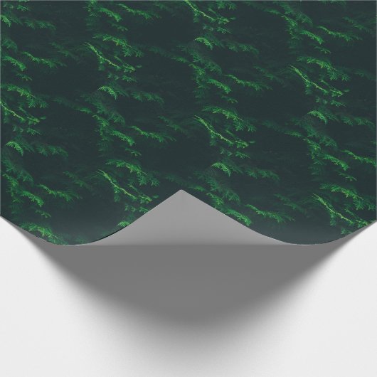 Evergreen tree wrapting paper cadeaupapier (Hoek)