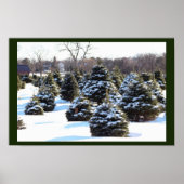 Evergreen Trees met sneeuwPoster Poster (Voorkant)