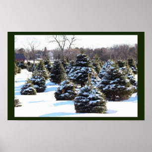 Evergreen Trees met sneeuwPoster Poster