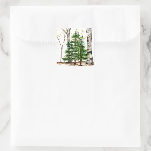 Evergreen Trees sticker (Tas)
