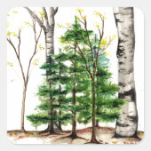 Evergreen Trees sticker (Voorkant)
