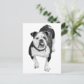 Evergreen View, Bulldog Post Briefkaart (Staand voorkant)