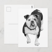 Evergreen View, Bulldog Post Briefkaart (Voorkant / Achterkant)