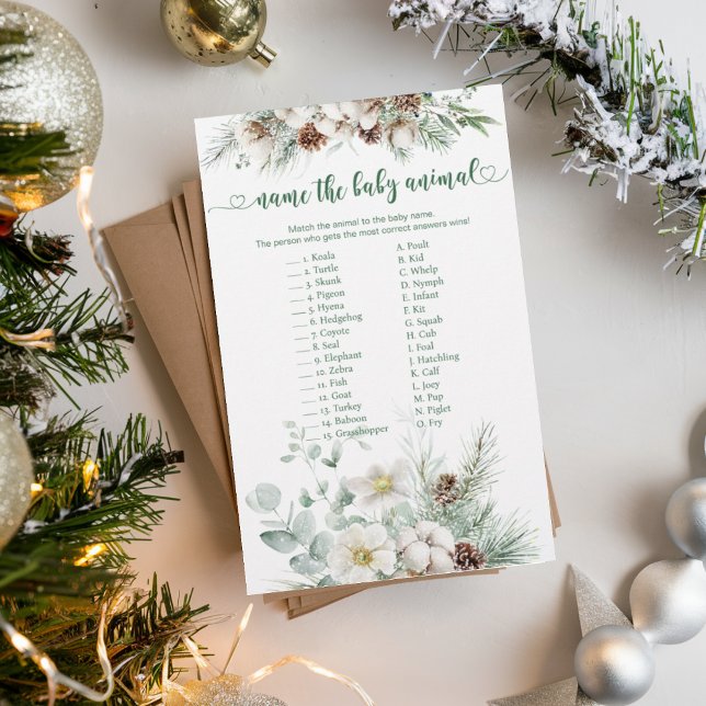 Evergreen winter Baby Dier Matching Baby Game (Creator heeft geüpload)