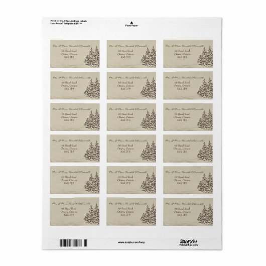 Evergreen Winter Bruiloft Adres Label (Full Sheet)