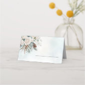 Evergreen Winter Nederland Plaatskaartje (Voorkant)