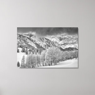 Evergreens en Aspen-bomen in een sneeuw-storm Canvas Afdruk