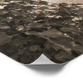 Evergreens en Gravestenen Poster (Hoek)