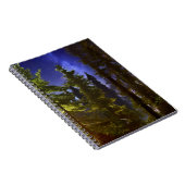 Evergreens in het moonlicht notitieboek (Rechterzijde)