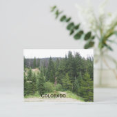 evergroene bomen in de bergen van Colorado Briefkaart (Staand voorkant)