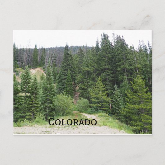 evergroene bomen in de bergen van Colorado Briefkaart (Voorkant)