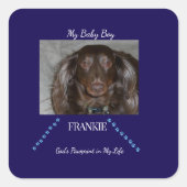 Everlasting Pawprint Bond Vierkante Sticker (Voorkant)