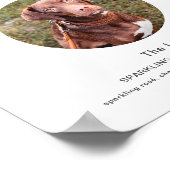 EVERLEIGH Pet Signature Drink Wedding Sign Poster (Hoek)