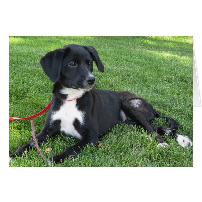 Everly! (Voorkant Horizontaal)