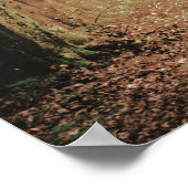 Evermore | Enchanted Forest Vrijgezellenfeest Welc Poster (Hoek)