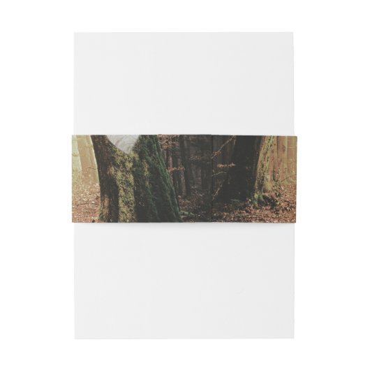 Evermore | Kantelend bos | Amber Wedding Uitnodigingen Wikkel (Achterkant Voorbeeld)