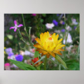 Eversustainable Flowers. Poster (Voorkant)