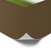 Everybody Juvenile Summer Tanager Birder Poster (Hoek)