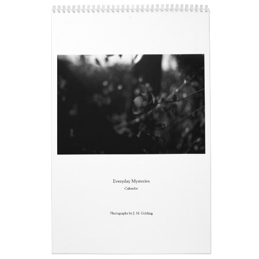 Everyday Mysteries Calendar Kalender (Hoes)