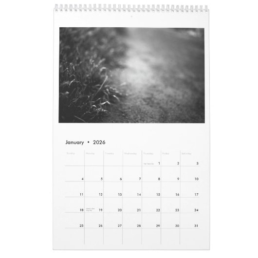 Everyday Mysteries Calendar Kalender (Jan 2026)