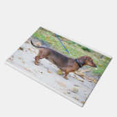 everzwijnen, vol deurmat (Schuin)