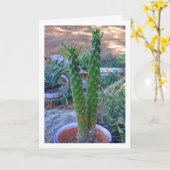 Eve's Pin Cactus Plant Kaart (Gele Bloem)