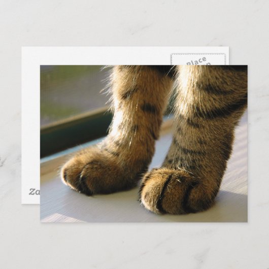 Evey's Paws Briefkaart (Voorkant / Achterkant)