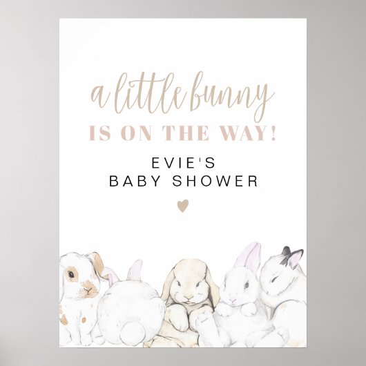 EVIE Schattige Pastel Baby Bunny Baby shower Welko Poster (Voorkant)