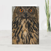 Evil-blik-uil Kaart (Voorkant)