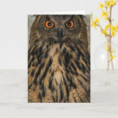 Evil-blik-uil Kaart (Gele Bloem)