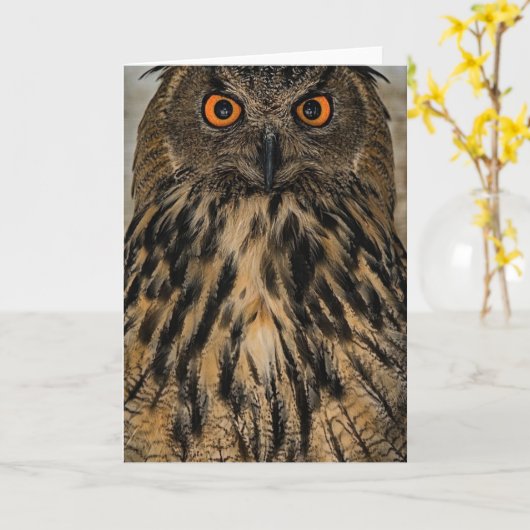 Evil-blik-uil Kaart (Gele Bloem)