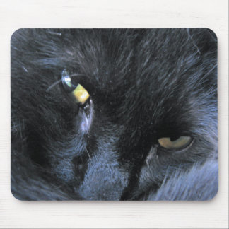 Evil Cat Mousepad Muismat