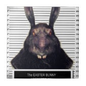 Evil Easter Bunny Rabbit SOLO Tegeltje (Voorkant)