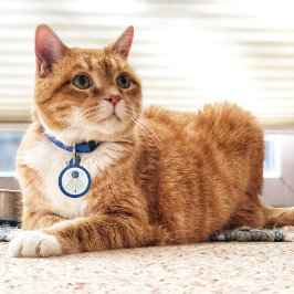 Evil Eye Moon Pet Tag Huisdierpenning