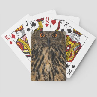 Evil looking owl pokerkaarten