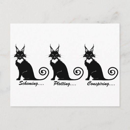 Evil Plotting Cat Trio Briefkaart (Voorkant)
