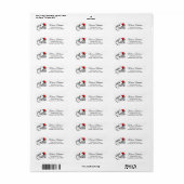 Evil Queen Small Apple Funny Address Label (Full Sheet)