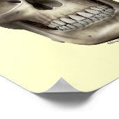 Evil Skull Poster (Hoek)