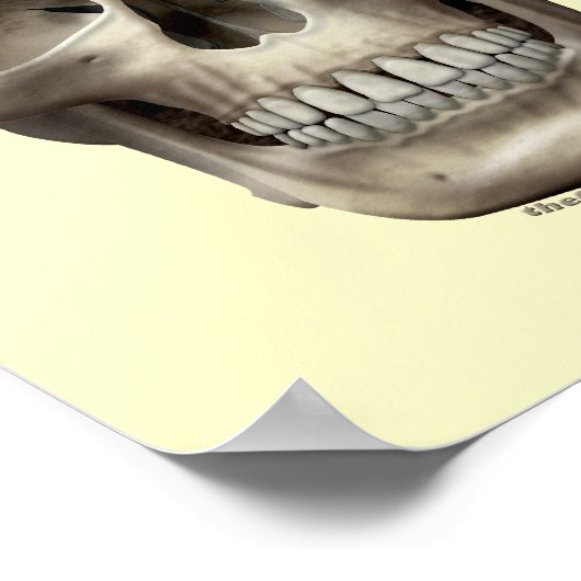 Evil Skull Poster (Hoek)