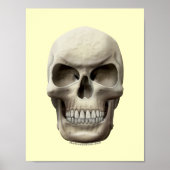 Evil Skull Poster (Voorkant)
