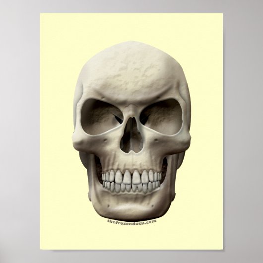 Evil Skull Poster (Voorkant)