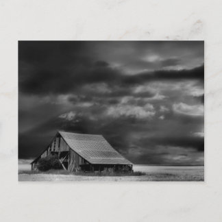 Evocative Beauty Post Card Briefkaart