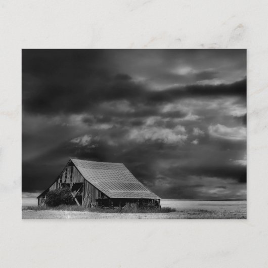 Evocative Beauty Post Card Briefkaart (Voorkant)