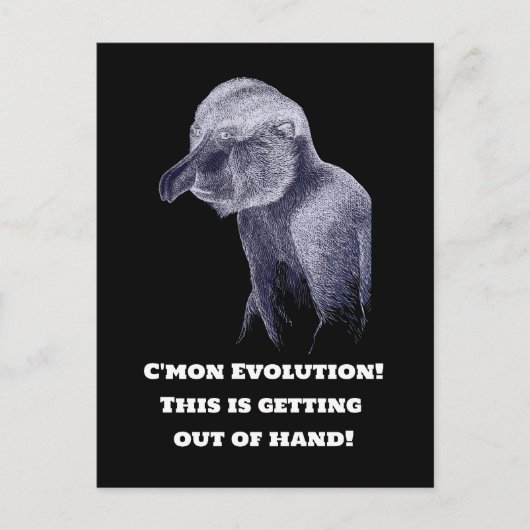 Evolutie-aap Briefkaart (Voorkant)