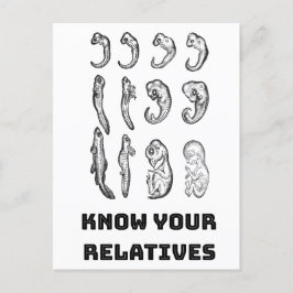 Evolutie Embryogenese Briefkaart