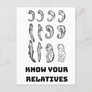 Evolutie Embryogenese Briefkaart