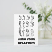 Evolutie Embryogenese Briefkaart (Staand voorkant)